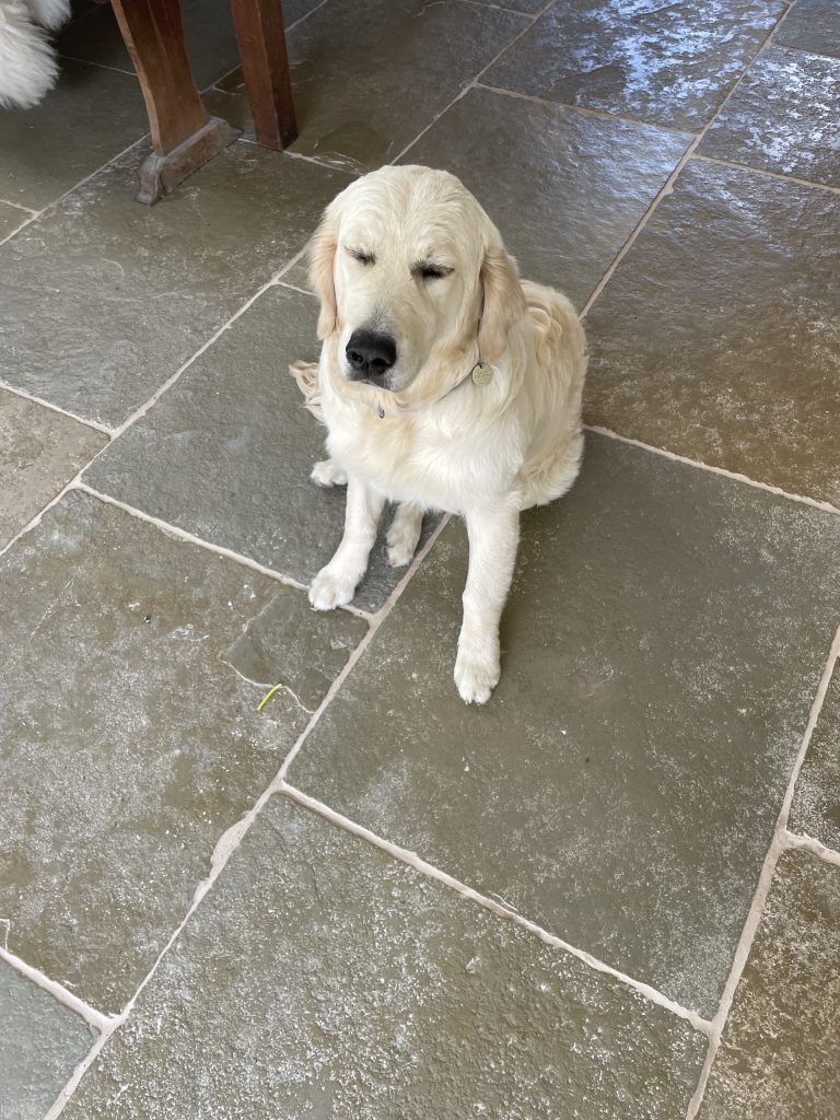 Cathedral limestone floor installation in Bruton Somerset