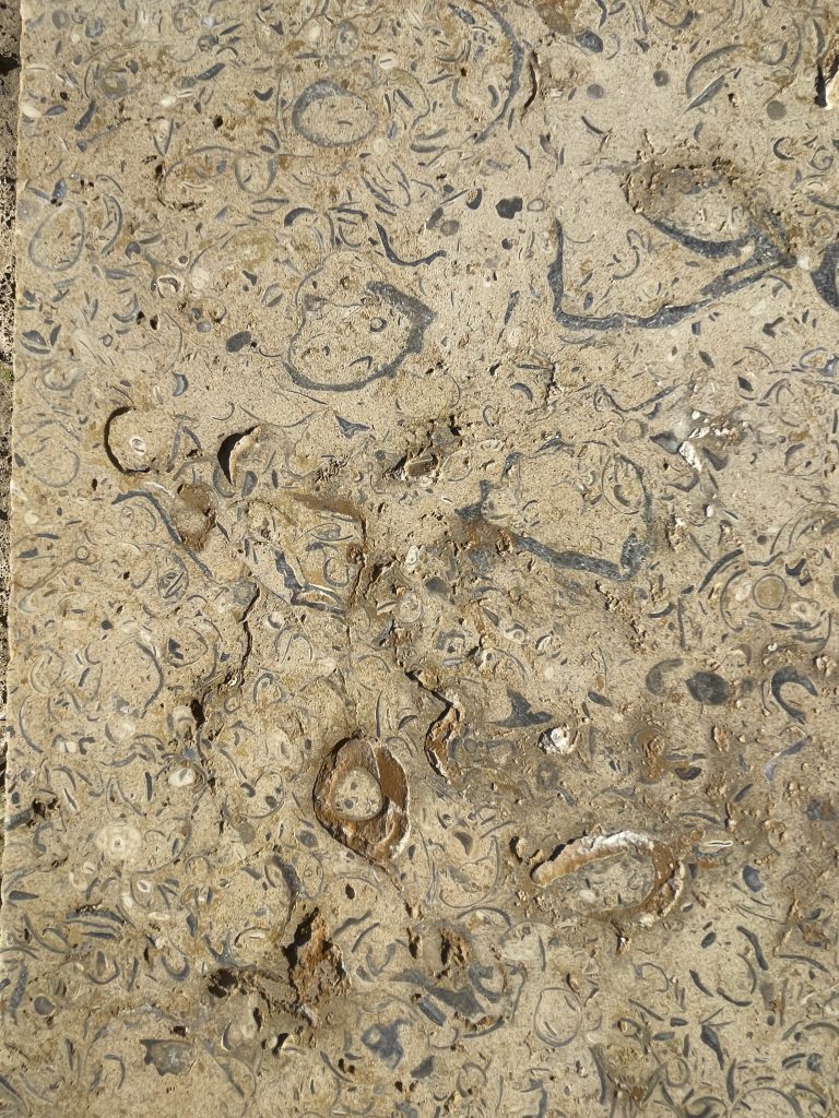 Stone flooring Shaftesbury showing a piece of Marnhull limestone