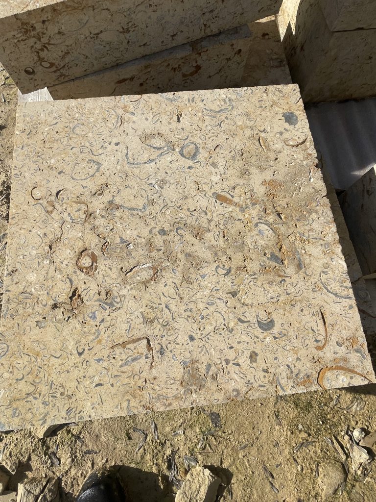 Shelly Marnhull limestone surface with natural gold and beige fossil detail