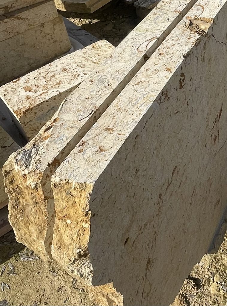 Broken edge of Marnhull stone showing fossil content and natural fracture lines